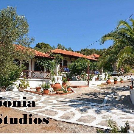 Sonia Studios Nees Kidonies Pokoj fotografie